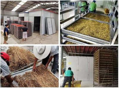 農機補貼范圍擴大 烘干設施等納入試點，助力肉制品加工業提質增效