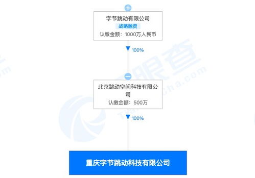 字節(jié)跳動跨界布局 重慶子公司經(jīng)營范圍新增房地產(chǎn)經(jīng)紀(jì)與技術(shù)咨詢